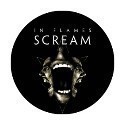 In Flames Scream 1 1/2