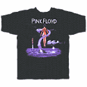 Pink Floyd Shine On Crazy Thumbnail